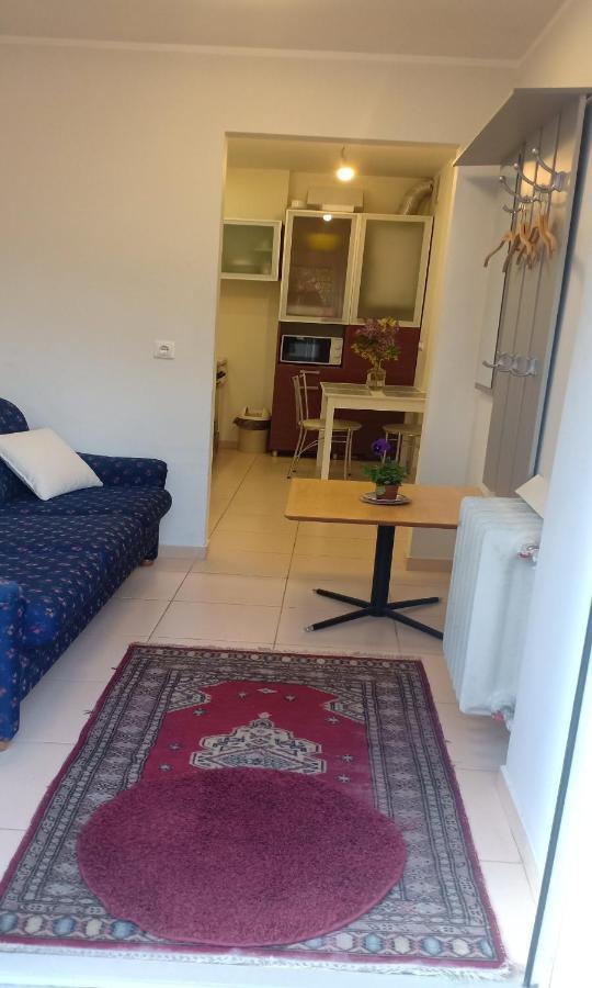 Kaunas Downtown Apartments Экстерьер фото