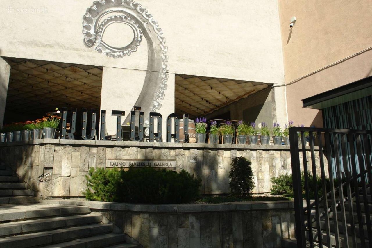 Kaunas Downtown Apartments Экстерьер фото